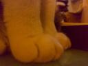 20100309.jpg