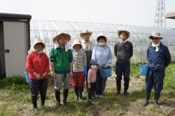 ２０１１年の田植え